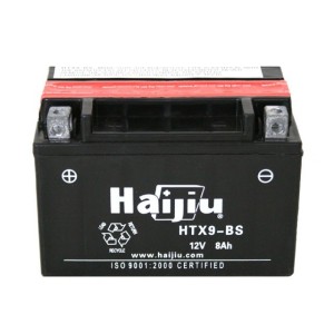 HAIJIU HTX9-BS